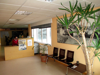 Oficinas de Servicios Econmicos del Ayuntamiento